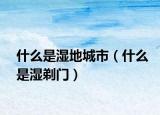什么是湿地城市（什么是湿剃门）