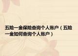 五险一金保险查询个人账户（五险一金如何查询个人账户）