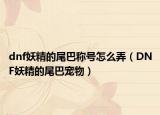 dnf妖精的尾巴称号怎么弄（DNF妖精的尾巴宠物）