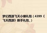 梦幻西游飞天小猪礼包（4399《飞天西游》新手礼包_）