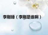 李刚锤（李刚是谁啊）