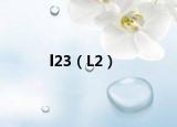 l23（L2）