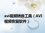avi视频转换工具（AVI视频恢复软件）