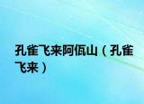 孔雀飞来阿佤山（孔雀飞来）
