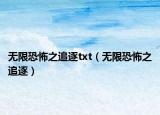无限恐怖之追逐txt（无限恐怖之追逐）