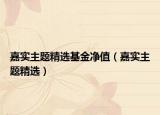 嘉实主题精选基金净值（嘉实主题精选）
