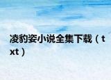 凌豹姿小说全集下载（txt）