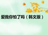 爱我你怕了吗（韩文版）