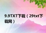 9.9TXT下载（29txt下载网）