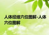 人体经络穴位图解-人体穴位图解