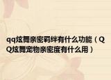 qq炫舞亲密羁绊有什么功能（QQ炫舞宠物亲密度有什么用）