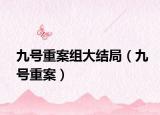 九号重案组大结局（九号重案）