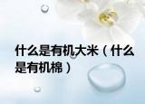 什么是有机大米（什么是有机棉）