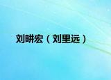 刘畊宏（刘里远）