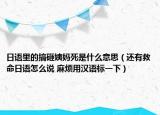 日语里的搞砸姨妈死是什么意思（还有救命日语怎么说 麻烦用汉语标一下）