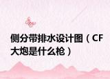 侧分带排水设计图（CF大炮是什么枪）