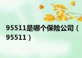 95511是哪个保险公司（95511）