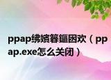 ppap绋嬪簭鏂囦欢（ppap.exe怎么关闭）