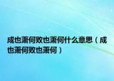 成也萧何败也萧何什么意思（成也萧何败也萧何）