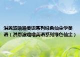 洪恩波噜噜美语系列绿色仙尘学美语（洪恩波噜噜美语系列绿色仙尘）