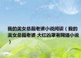 我的美女总裁老婆小说阅读（我的美女总裁老婆 大红凶罩著网络小说）