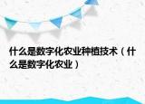 什么是数字化农业种植技术（什么是数字化农业）