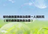 禄劝彝族苗族自治县第一人民医院（禄劝彝族苗族自治县）