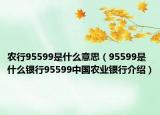 农行95599是什么意思（95599是什么银行95599中国农业银行介绍）