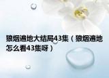 狼烟遍地大结局43集（狼烟遍地怎么看43集呀）