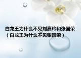 白龙王为什么不见刘嘉玲和张国荣（白龙王为什么不见张国荣）