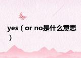 yes（or no是什么意思）