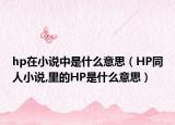 hp在小说中是什么意思（HP同人小说,里的HP是什么意思）