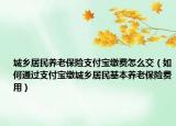 城乡居民养老保险支付宝缴费怎么交（如何通过支付宝缴城乡居民基本养老保险费用）