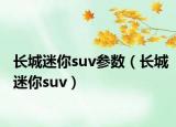 长城迷你suv参数（长城迷你suv）