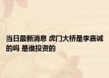 当日最新消息 虎门大桥是李嘉诚的吗 是谁投资的