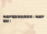 电磁炉辐射真的危险吗（电磁炉辐射）