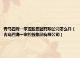 青岛四海一家控股集团有限公司怎么样（青岛四海一家控股集团有限公司）