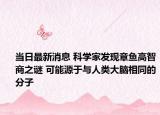 当日最新消息 科学家发现章鱼高智商之谜 可能源于与人类大脑相同的分子