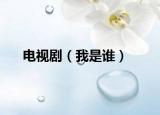 电视剧（我是谁）