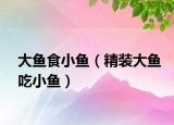 大鱼食小鱼（精装大鱼吃小鱼）