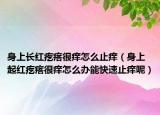 身上长红疙瘩很痒怎么止痒（身上起红疙瘩很痒怎么办能快速止痒呢）