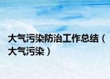 大气污染防治工作总结（大气污染）