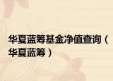 华夏蓝筹基金净值查询（华夏蓝筹）