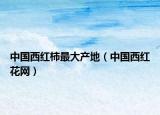 中国西红柿最大产地（中国西红花网）