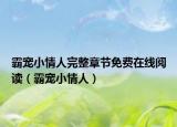 霸宠小情人完整章节免费在线阅读（霸宠小情人）