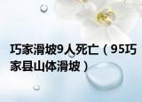 巧家滑坡9人死亡（95巧家县山体滑坡）