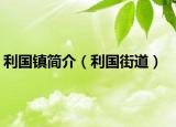 利国镇简介（利国街道）