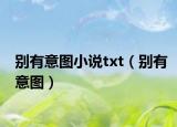 别有意图小说txt（别有意图）