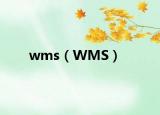 wms（WMS）