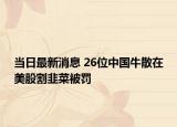 当日最新消息 26位中国牛散在美股割韭菜被罚